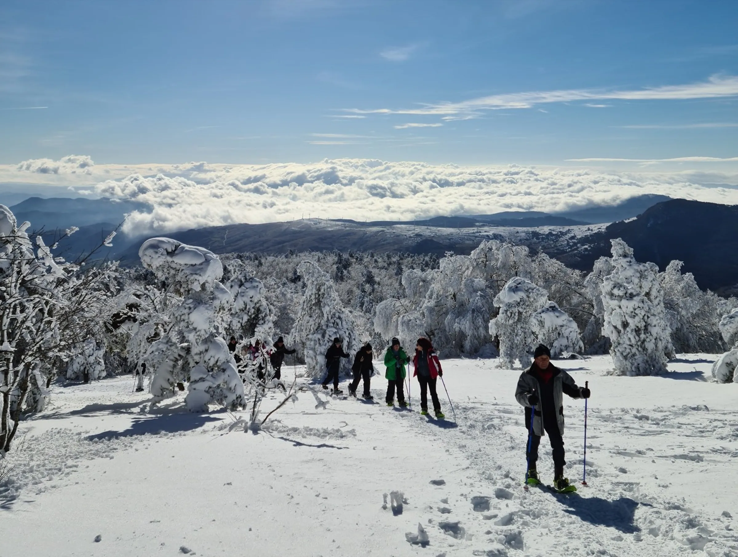 Un gruppo in ciaspolata tra gli alberi innevati sopra un mare di nuvole