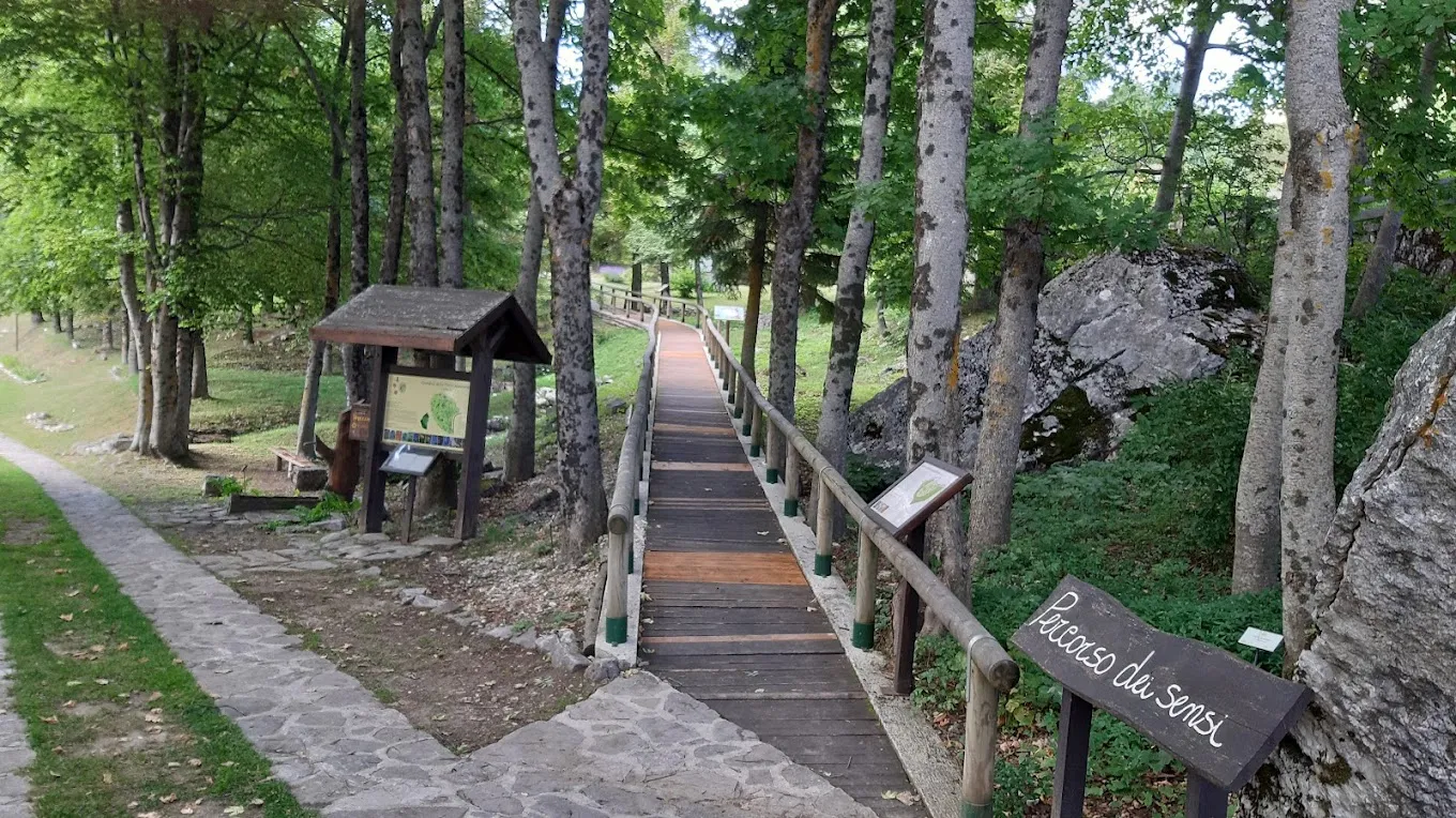 La passerella in legno del Percorso dei Sensi tra i faggi del Giardino della Flora Appenninica