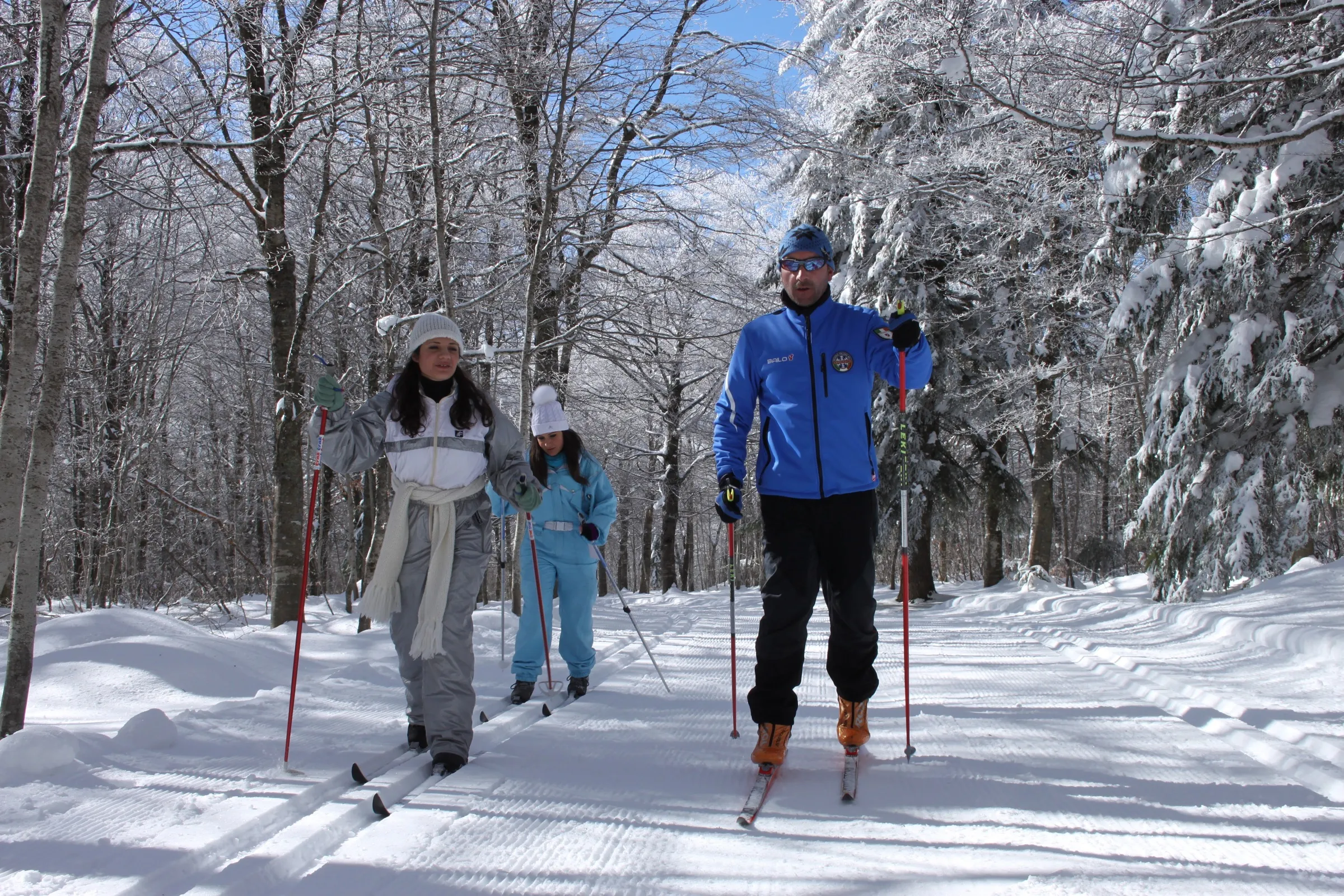 Una famiglia con gli sci di fondo nel bosco innevato