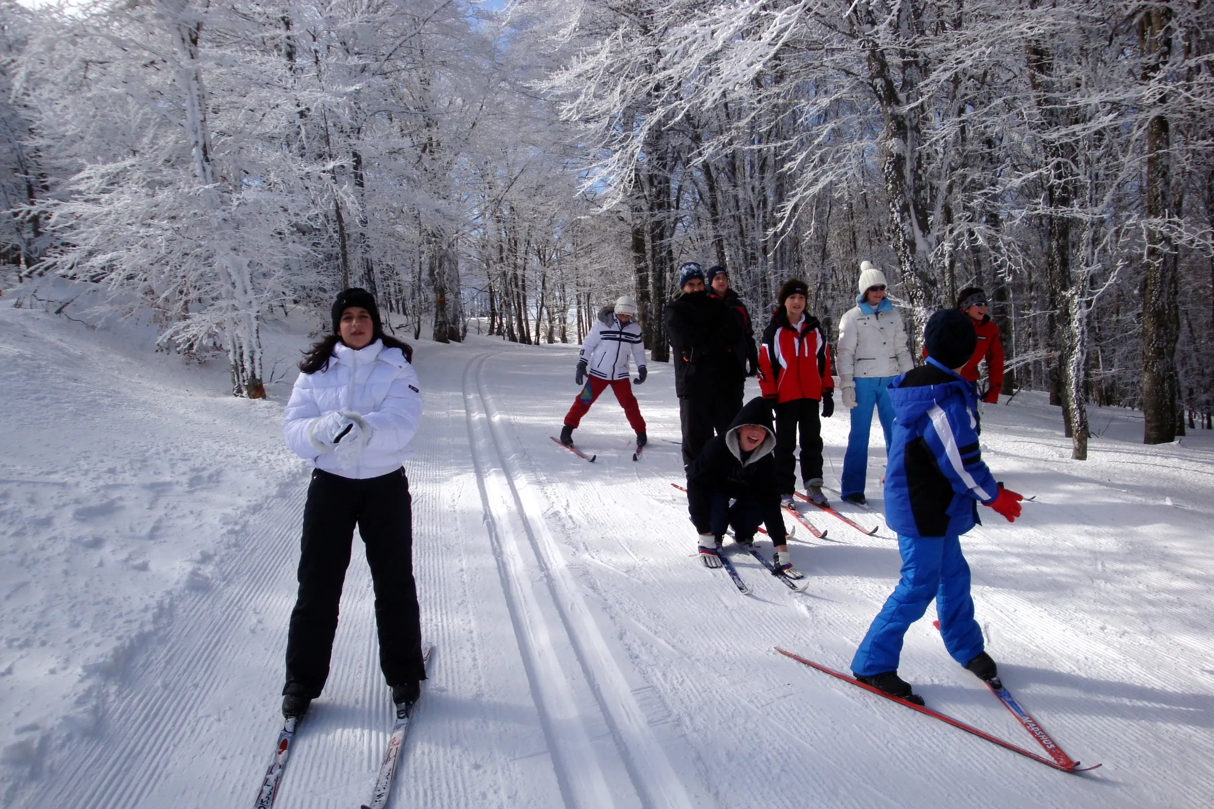 Ragazzi con gli sci di fondo sulla pista nel bosco innevato